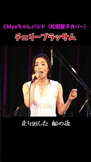 松田聖子 チェリーブラッサム 1【Chiyoちゃんバンド】