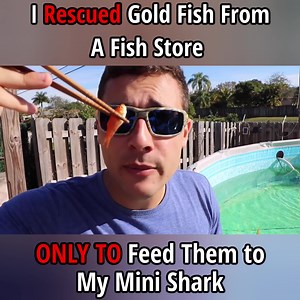 Japanese Fish Bit Me! | RAWWFishing