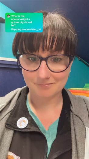 81K views · 1.5K reactions | How big should my guinea pig be? | Masons' Cavies | Facebook