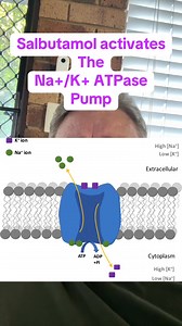 143K views · 2.5K reactions | Activates the ATPase pump. #nursesoftiktok #nurseeducation #paramedicsoftiktok #fyp #fypviralシ #paramediceducation #ECT4Health #hyperk #hyperkalaemia | ECT4Health- Nurse/Paramedic Education | Facebook