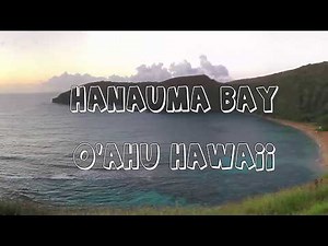 Hanauma Bay Snokeling Tips - Fish - Sea Turtles