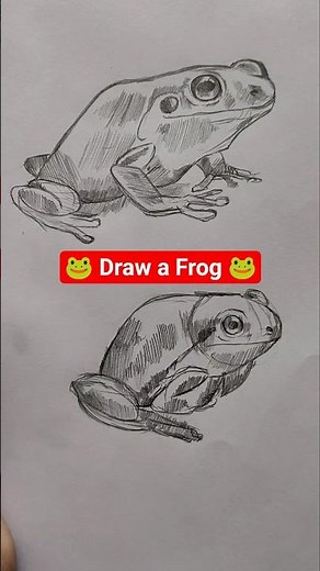 How To Easy Cute Frog Drawing | Quick | One minute