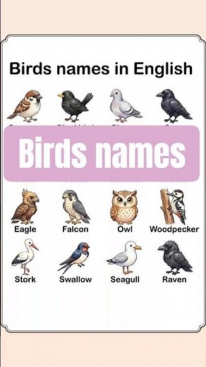 🔴 Birds Names in English | Common Birds You Should Know