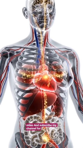 How Food Is Digested Inside the Human Body | AI Medical Visualization