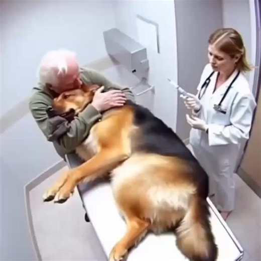 95K views · 812 reactions | The dog gave his owner one last hug...
