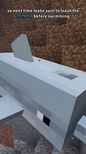 TAMED DOLPHINS and SUPER SPEED in Vanilla Minecraft