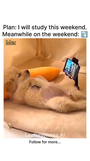 LectureNotes AI on Instagram: "Download LectureNotes AI before your “study weekend” turns into a full Netflix marathon with bonus naps. Make your study goals actually happen with smart, effortless notes. LectureNotes AI, built for students who plan big and rest better. #lecturenotesai #studysmart #studentlife #weekendvibes #studymemes #ainotetaking #viralreels #explore #mit"