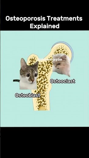 The mechanism of osteoporosis medications( #denosumab and #bisphosphonates)