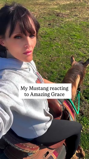 Hymns in the pasture…. | singing hymns