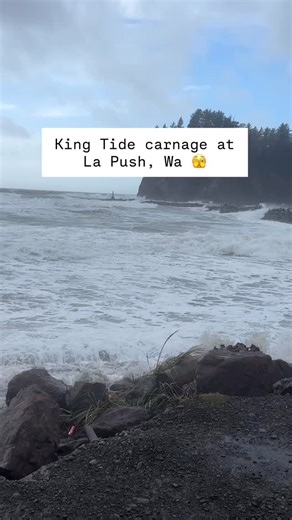 Barefoot Jake Olympic Outdoors on Instagram: "King Tide at La Push, Wa. Now you know how the driftwood gets so high on the beach. #beachlogskill"