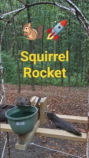 Squirrel Launcher 🐿🛸 / Take 1