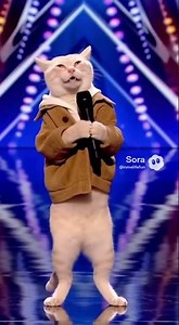 SINGING CAT SHOCKS DOG JUDGES with Opera Performance! #shorts #funny #viral #subscribe