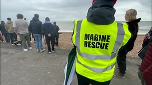 A seal has been entertaining crowds on #Hove beach for the past few days. Experts are warning people to keep their distance | BBC Sussex