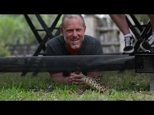 Atrox Snake Barrier introduction