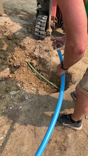 Installing a sprinkler tube #fyp #landscape #lawncare #rainbird #sprinkler