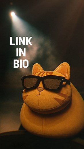 Pablo the Race Cat on Instagram: "Don't miss your chance this time guys - He's ready to ship in time for Christmas!  #plushie #meow #pablo #animals #cat #cartok #catsofinstagram #fyp #speed #f1"