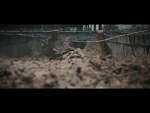 How to Train for Special Forces