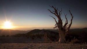 Timelapse Montage by Mike Flores