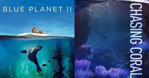 Best Ocean Documentaries: Blue Planet, Chasing Coral & More