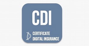 TDI Academy - CDI - The Digital Insurer