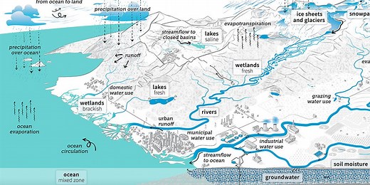 Humans added to water cycle diagram for first time