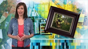 Illusions Floater Canvas Frames 3/4" Deep