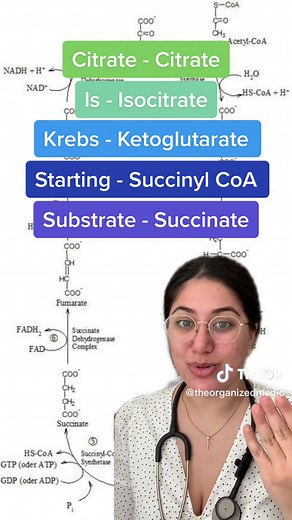 Dr. Christina | OrganizedMedic on TikTok