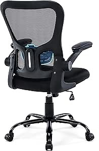 ZLchair Office Chair Ergonomic Desk Chair, Mesh Computer Home Office Desk Chairs with Adjustable Lumbar Support and Flip-up Armrests, Swivel Comfy Task Executive Chair, Black