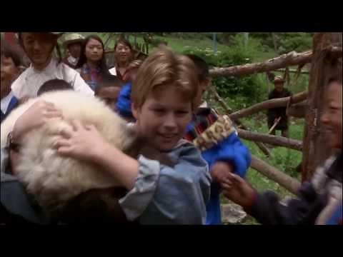 the amazing panda adventure (1995)- A Celebration!! HD