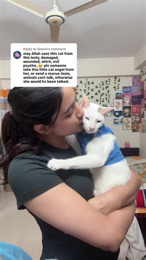 Rescued Cats: A Teacher's Journey