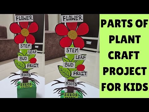 How to make Parts of Plant craft Project for kids|| Kids craft ideas|| #diy #craft #easy #creative