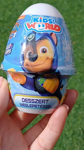 Paw Patrol Skye Toy Unboxing Collection with Vikichu