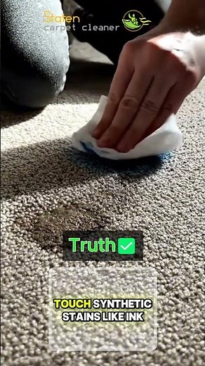 🚨 Do Enzyme Cleaners Really Remove Every Stain?