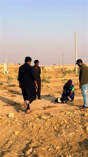 New Real Estate Project Launch: Investment Opportunities