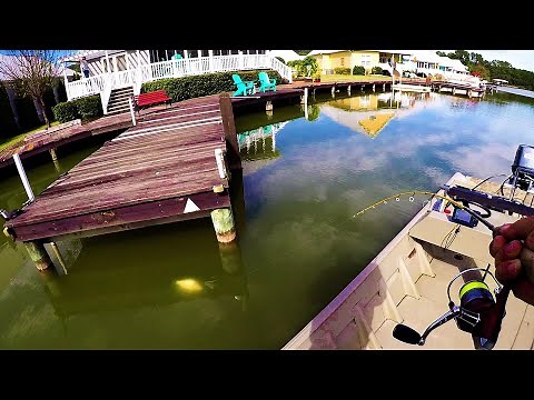 SLAB Crappie Lurking Under Docks and The Perfect Setup To Catch Them!