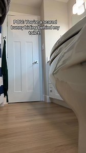 33K views · 276 reactions | When I First Bring a Rabbit HomeIn those...