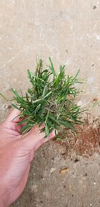 Do I use Celsius or Certainty on this?