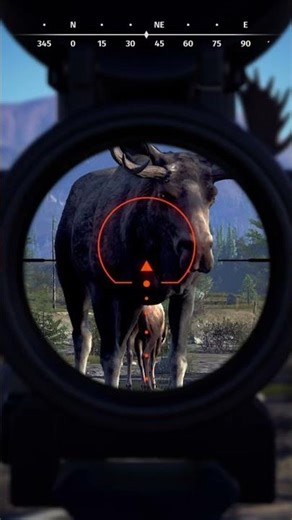 Monster Moose vs. Crossbow! 🔥💪 - Way of the Hunter #wayofthehunter #woth #hunting #crossbow #viral