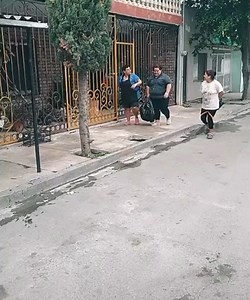 ¿Cómo ven con mis vecinas? | Alejandro Suárez