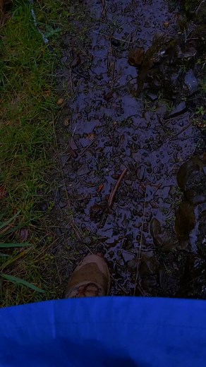 #fantasy #darkfantasy #foryou #foryoupage | dark fantasy