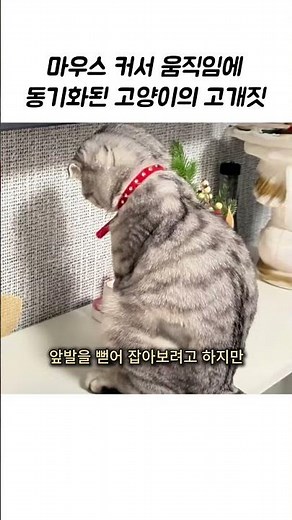 마우스 커서 움직임에 동기화된 고양이의 고개짓