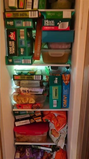 Veganuary vloggers freezer problems. Jenga skills used. #veganfood #thoseveganguys