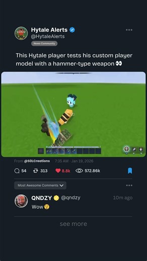 Hytale player tests his custom player model