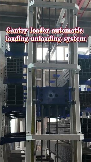 Fully Automatic Warehouse Storage System Integrated with Gantry Loading Robot #storagesolutions