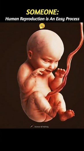 Is Human Reproduction An Easy Process? 🥱🗿 #Biology #Science #NewBorn #Health #Shorts