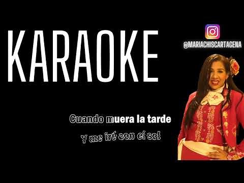 Luis Miguel - La Media Vuelta (Karaoke)