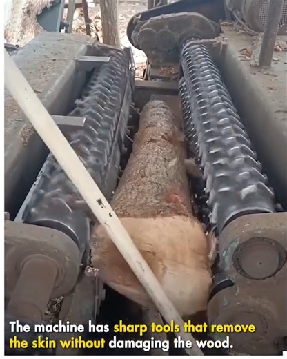 3K views | Crafting Smooth Wood from Raw Log #elonmusk #marketing #MarkZuckerberg  #threads #threadslift #reels #reelsfb #trending #memes #funny #love #Tiktok 鹿 #hollywood | MNCHS - ABM HUB | Facebook