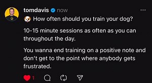 I get this question all the time, hope this helps! ❤️ #puppy #puppytraining | Tom Davis Dog Training