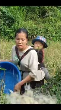 She Moves Water From One Pond to Another to Catch Fish#Fishing #FishCatching #TraditionalFishing
