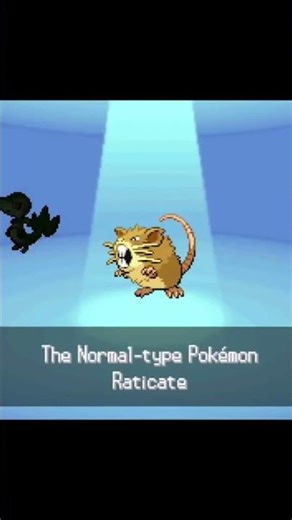 Twitch: loganhedden #pokemon #starter #randomizer #shorts #twitch